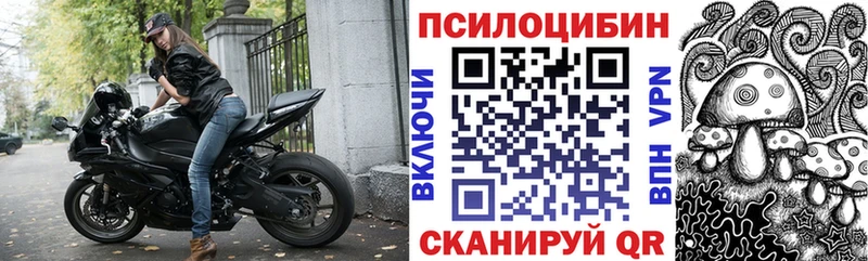 Галлюциногенные грибы GOLDEN TEACHER  OMG зеркало  Конаково 